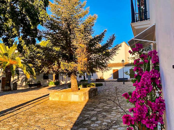 Grazalema - Casita La Calma - Incredible Views, Clima Frio-Calor, Wifi & Private Parking Optional Villa Exterior photo